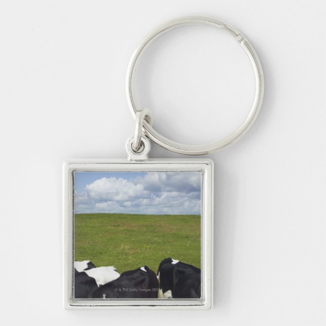 Porte-clés Vaches dans un pâturage (Devant)