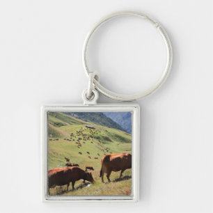 Porte-clés vaches en vallée de Tarentaise - course de Tarine
