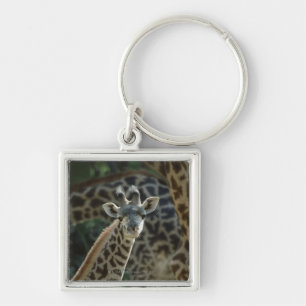 Porte-clés Veau de girafe avec des girafes