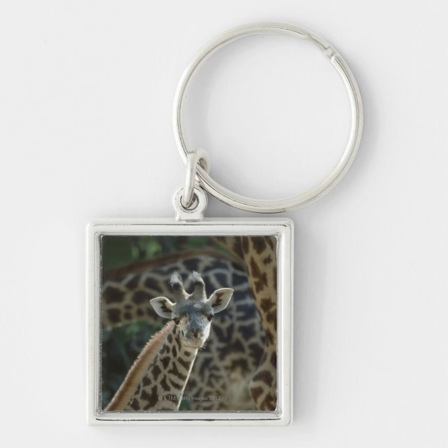 Porte-clés Veau de girafe avec des girafes (Devant)