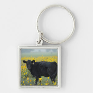 Porte-clés Veau noir dans un champ de tournesols