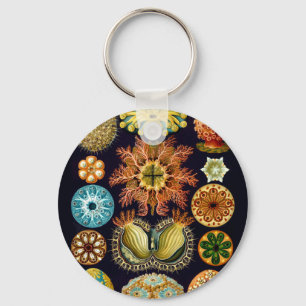 Porte-clés Vie marine aquatique Ernst Haeckel Ascidiae A01