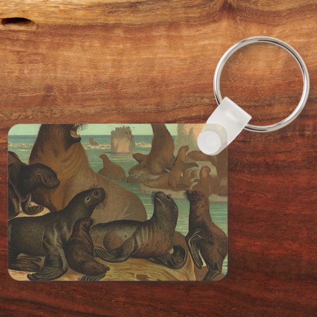 Porte-clés Vieux lions de mer sur la plage, vie marine animal (Recto)