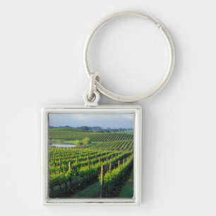 Porte-clés Vignes en rangées nettes dans le Napa en Californi