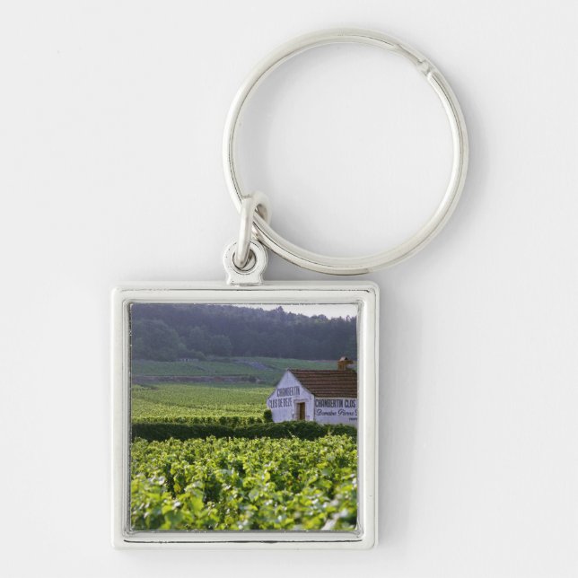 Porte-clés vignoble Chambertin Clos de Beze Grand Cru avec (Devant)