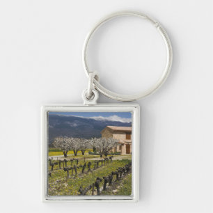 Porte-clés Vignoble en sommeil, fleurs de fruits, maison en p