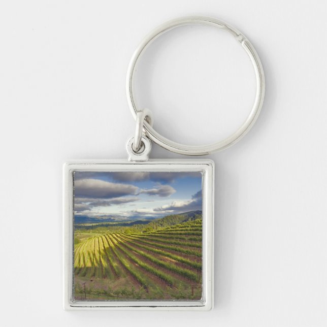 Porte-clés Vignoble. Vallée de Napa. Napa. Comté de Napa, (Devant)