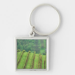 Porte-clés Vignobles de raisin près de Newberg Oregon