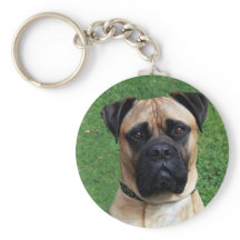 Vinnie Le Porte - clé Bullmastiff