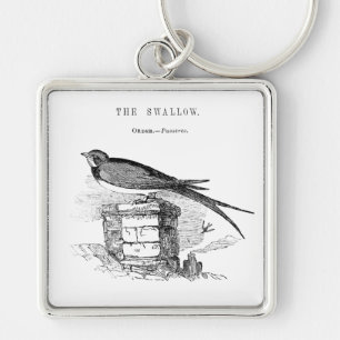 Porte-clés Vintage swallow bird