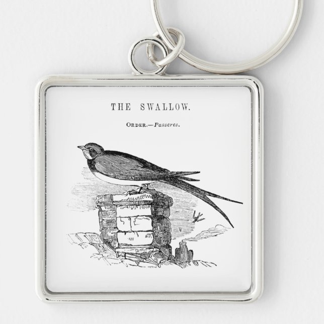 Porte-clés Vintage swallow bird (Devant)