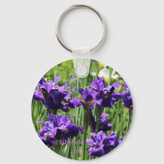 Porte-clés Violet bleu et blanc Sibérie Iris (Recto)