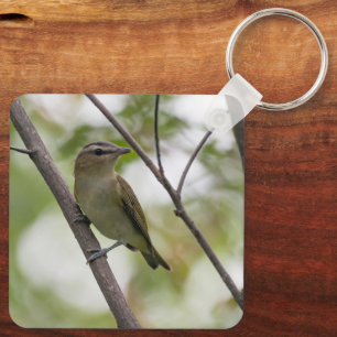 Porte-clés Viréo perché, Douce Paruline de la Forêt