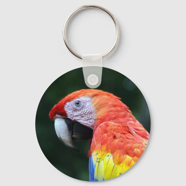 Porte-clés visage de scarlet macaw (Recto)