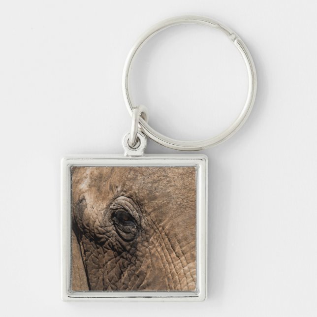 Porte-clés Visage d'un éléphant (Devant)
