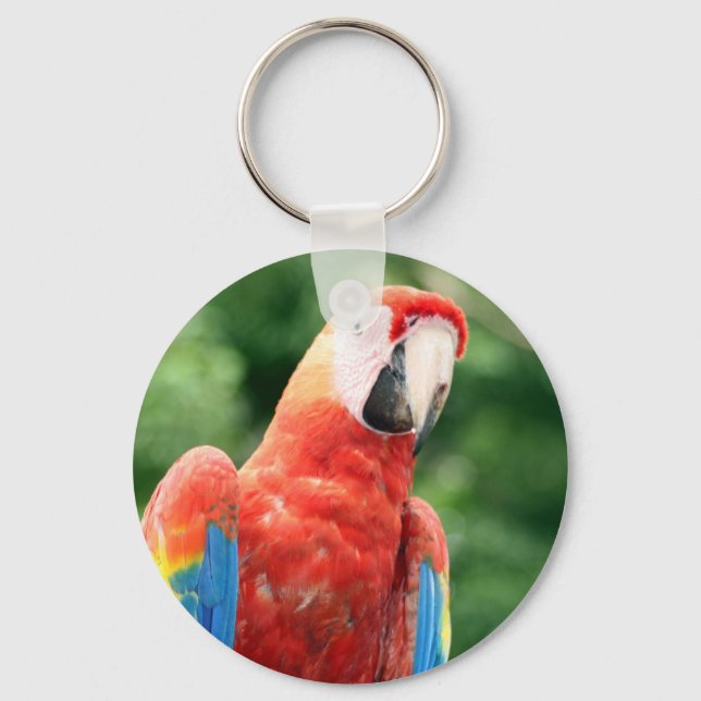 Porte-clés visage écarlate de macaw (Recto)