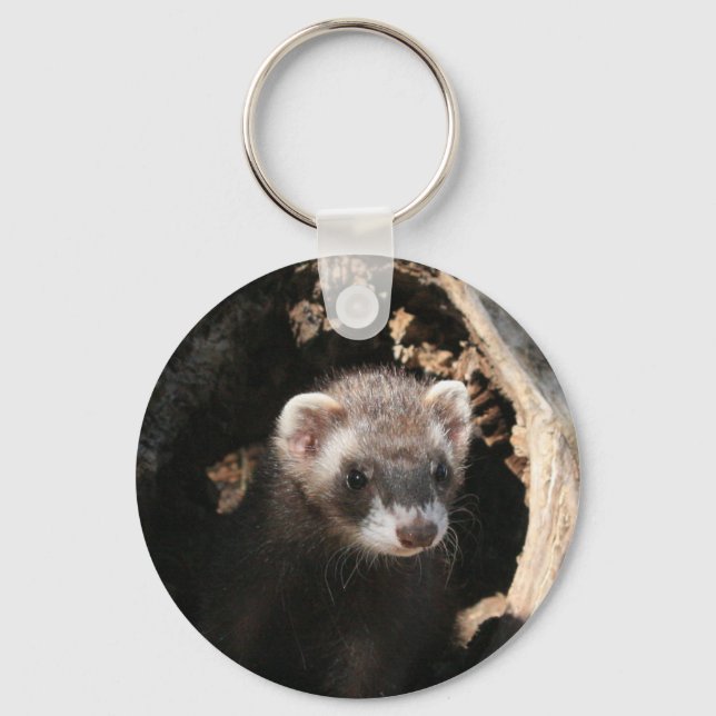 Porte-clés Visage Ferret (Recto)