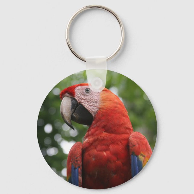 Porte-clés visage macaw (Recto)