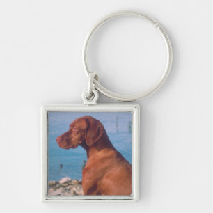 Porte-clés Vizsla