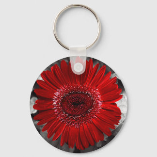 Porte-clés voir rouge