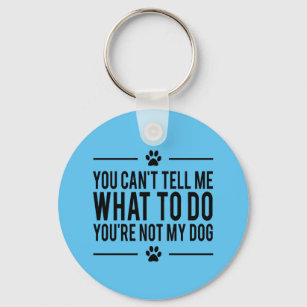 Porte-clés Vous n'êtes pas mon chien Porte - clé drôle