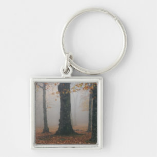 Porte-clés Vue automnale d'une forêt brumeuse, Grandfather 2