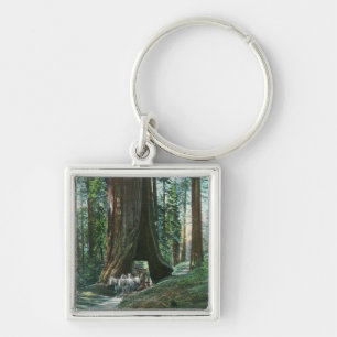 Porte-clés Vue de chariot de cheval sous l'arbre de Wawona