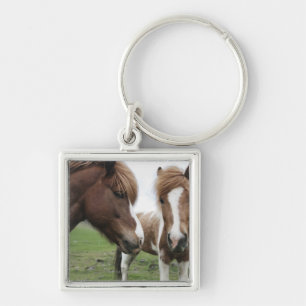 Porte-clés Vue de cheval, plan rapproché