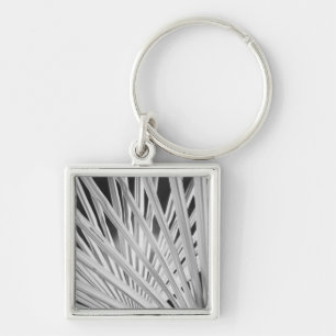 Porte-clés Vue en noir et blanc de frondes de palmiers