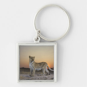 Porte-clés Vue intégrale de léopard (pardus de Panthera)