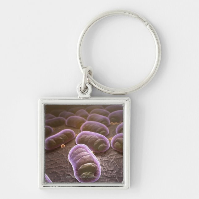 Porte-clés Vue microscopique des bactéries (Devant)