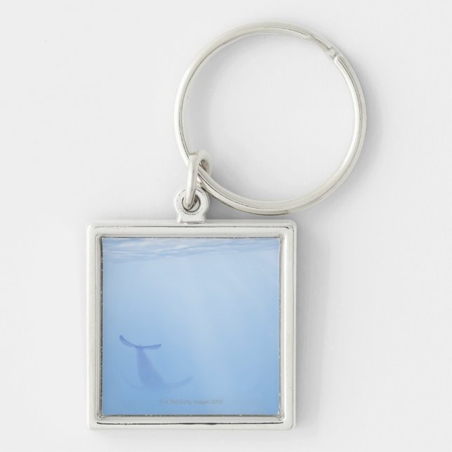 Porte-clés Vue sous-marine de baleine (Devant)