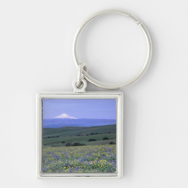 Porte-clés WA, comté de Klickitat, Dalles Mountain Ranch, (Devant)