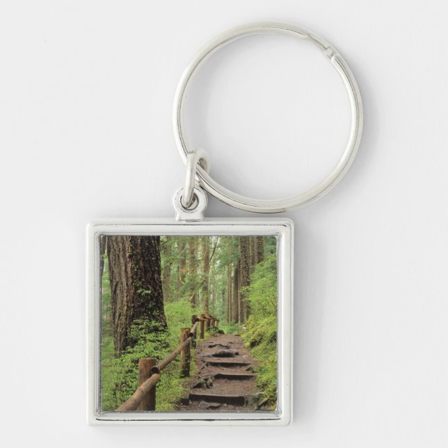 Porte-clés WA, parc national Olympique, vallée de Sol Duc, fo (Devant)