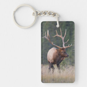 Porte-clés Wapiti des montagnes Rocheuses