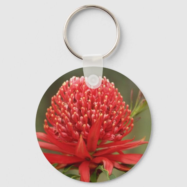 Porte-clés Waratah en fleur, fleurs australiennes (Recto)