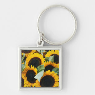 Porte-clés Washington, Seattle, Tournesol à vendre pike