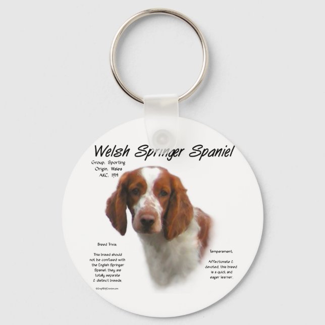Porte-clés Welsh Springer espagnol histoire design (Recto)