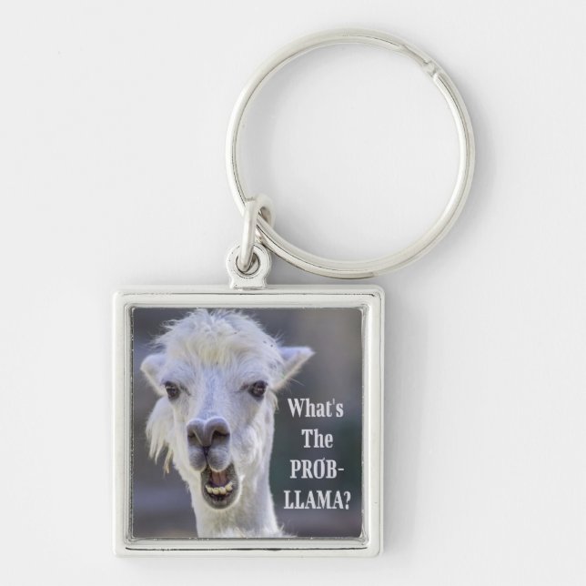 Porte-clés What's The Prob- Llama ? Cute Funny LLAMA (Devant)