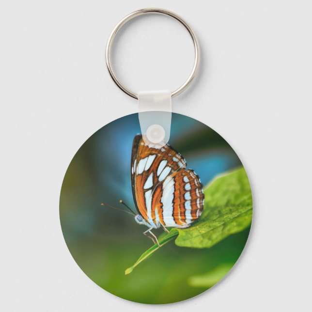 Porte-clés White and Orange Striped Butterfly (Recto)