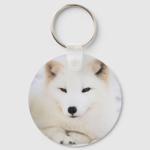 Porte-clés White arctic fox in snow
