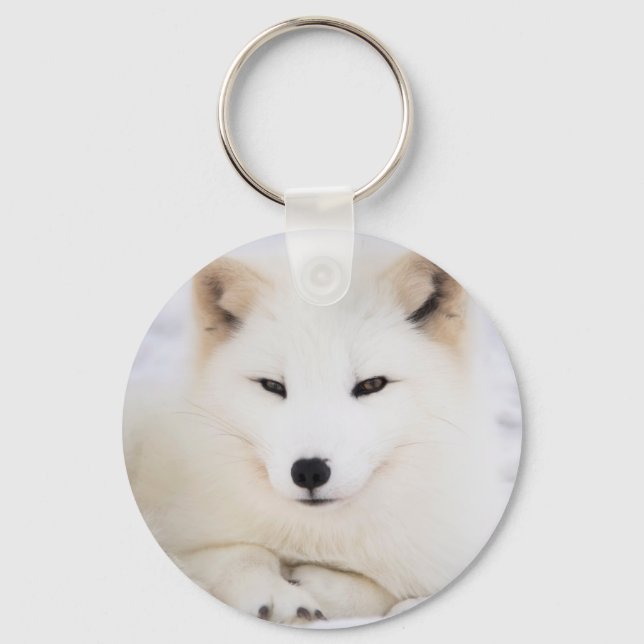 Porte-clés White arctic fox in snow (Recto)