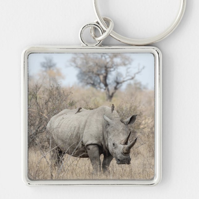 Porte-clés White Rhino (Devant)