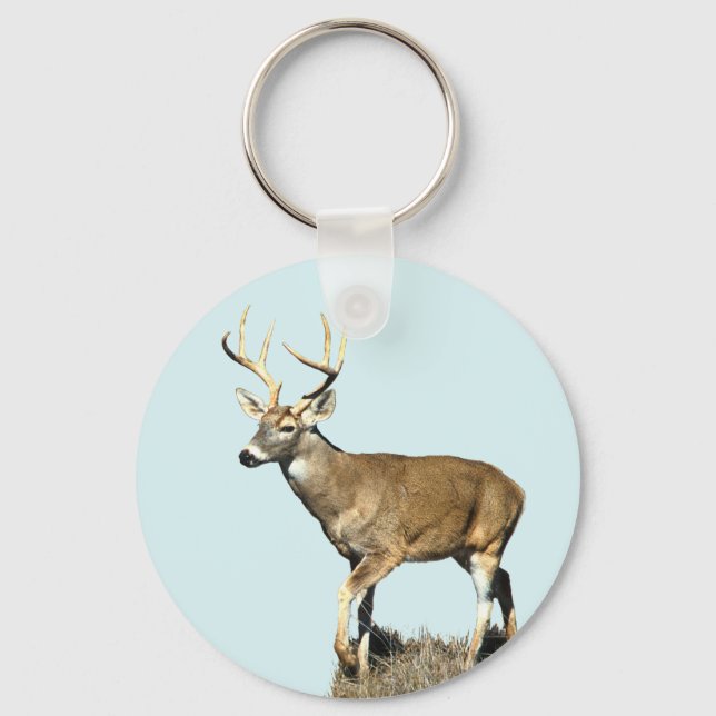 Porte-clés White Tailed Deer Buck (Recto)