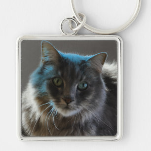 Porte-clés Willy Boy Majestueux Chat Gris à Longs Poils