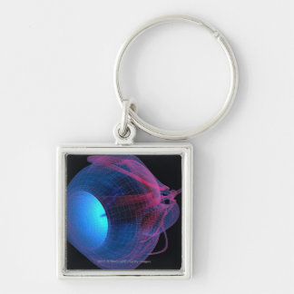 Porte-clés Wireframe des muscles de l'oeil