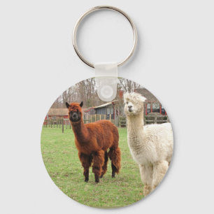 Porte-clés Wolly Alpacas ~ porte - clé