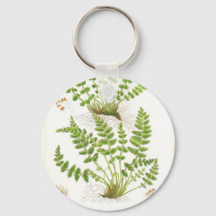 Porte-clés Woodsia Fern