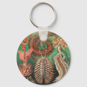 Porte-clés Worms, Annelids Chaetopoda by Ernst Haeckel