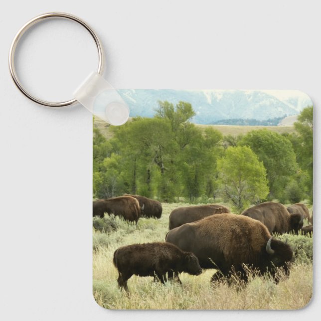 Porte-clés Wyoming Bison Nature Animal Photographie (Recto)